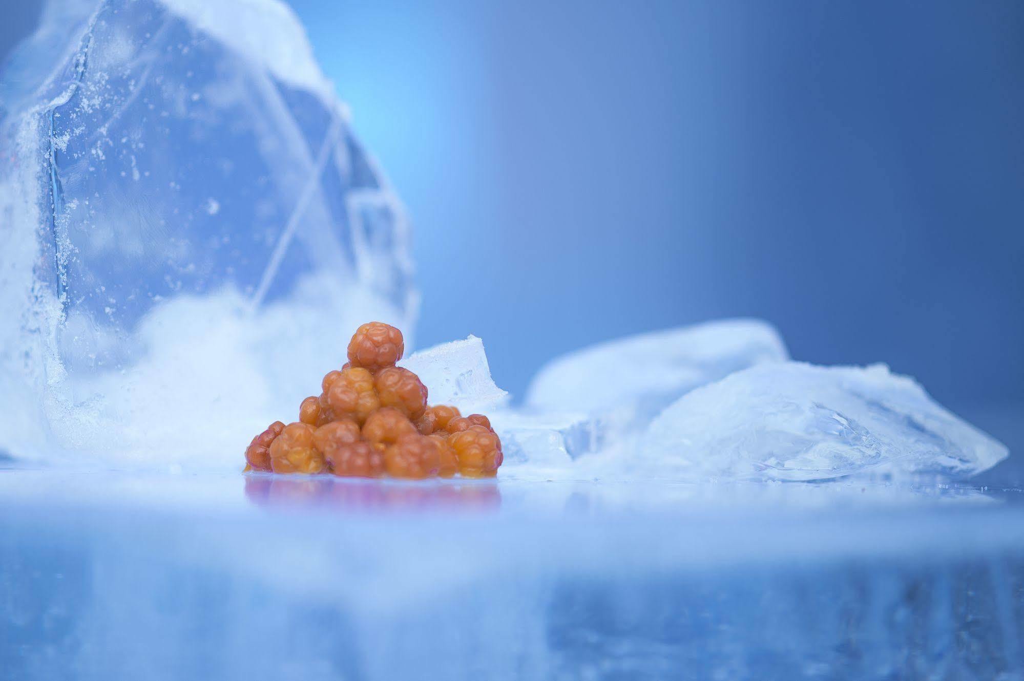 Sorrisniva Igloo Hotel Alta Zewnętrze zdjęcie